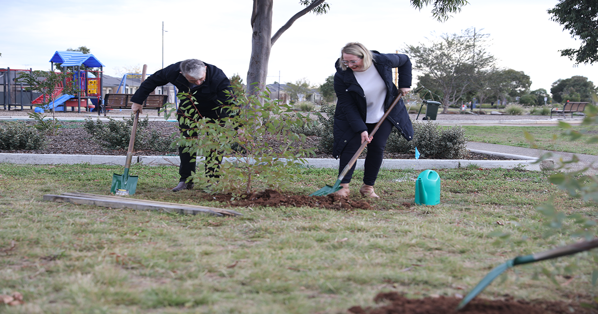 210513 Trees - Merlino & D'Ambroiso (Maddie Camera) (80)